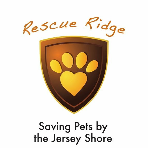 rescuenewww